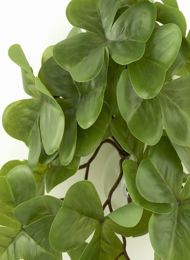 WOLEDOE Reptile Plants for Terrarium, Amphibian Habitat Decor Artificial Hanging Plants with Suction Cup - Fake Shamrock - Image 3